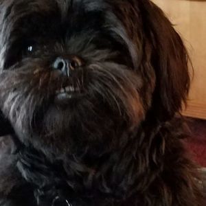 Meet your Posher, Pamela